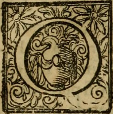 An illustration from Pratica di fabricar scene e machine ne' teatri, 1638, leaf 132