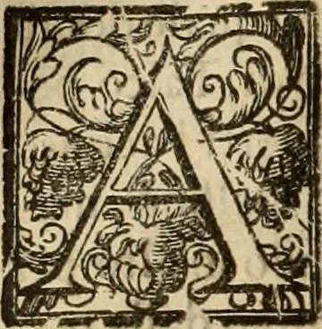 An illustration from Pratica di fabricar scene e machine ne' teatri, 1638, leaf 141
