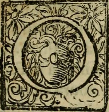 An illustration from Pratica di fabricar scene e machine ne' teatri, 1638, leaf 146