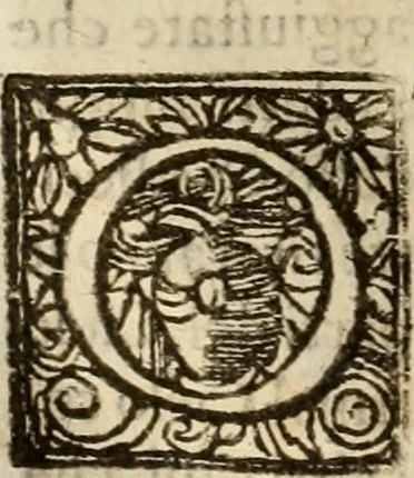 An illustration from Pratica di fabricar scene e machine ne' teatri, 1638, leaf 147
