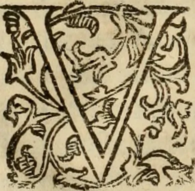 An illustration from Pratica di fabricar scene e machine ne' teatri, 1638, leaf 153