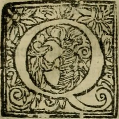 An illustration from Pratica di fabricar scene e machine ne' teatri, 1638, leaf 176