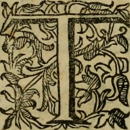 An illustration from Pratica di fabricar scene e machine ne' teatri, 1638, leaf 26