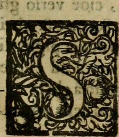 An illustration from Pratica di fabricar scene e machine ne' teatri, 1638, leaf 34