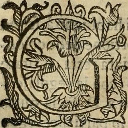 An illustration from Pratica di fabricar scene e machine ne' teatri, 1638, leaf 47