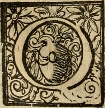 An illustration from Pratica di fabricar scene e machine ne' teatri, 1638, leaf 81