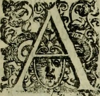 An illustration from Pratica manvale di arteglieria : nella quale si tratta della inuentione di essa, dell'ordine di condurla, & piantarla sotto à qualunque fortezza, fabricar mine da far volar in alto le fortezze, spianar le montagne, diuertir l'acque offensiue i regni & prouincie, tirar co i pezzi in molti & diuersi modi, far fuochi artificiali : con altri bellissimi secreti all'essercitio dell'arteglieria appartenenti, 1586, leaf 108