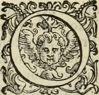 An illustration from Pratica manvale di arteglieria : nella quale si tratta della inuentione di essa, dell'ordine di condurla, & piantarla sotto à qualunque fortezza, fabricar mine da far volar in alto le fortezze, spianar le montagne, diuertir l'acque offensiue i regni & prouincie, tirar co i pezzi in molti & diuersi modi, far fuochi artificiali : con altri bellissimi secreti all'essercitio dell'arteglieria appartenenti, 1586, leaf 109