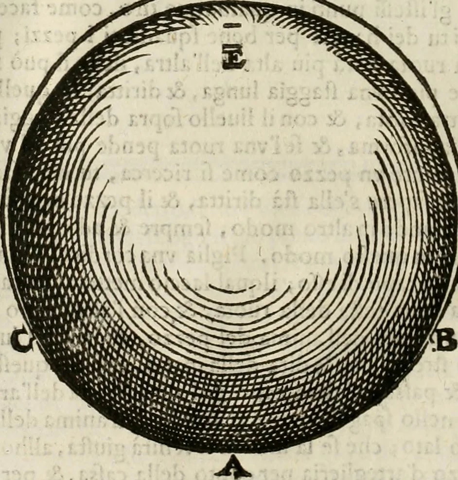 An illustration from Pratica manvale di arteglieria : nella quale si tratta della inuentione di essa, dell'ordine di condurla, & piantarla sotto à qualunque fortezza, fabricar mine da far volar in alto le fortezze, spianar le montagne, diuertir l'acque offensiue i regni & prouincie, tirar co i pezzi in molti & diuersi modi, far fuochi artificiali : con altri bellissimi secreti all'essercitio dell'arteglieria appartenenti, 1586, leaf 119
