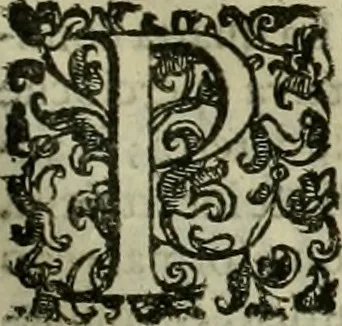 An illustration from Pratica manvale di arteglieria : nella quale si tratta della inuentione di essa, dell'ordine di condurla, & piantarla sotto à qualunque fortezza, fabricar mine da far volar in alto le fortezze, spianar le montagne, diuertir l'acque offensiue i regni & prouincie, tirar co i pezzi in molti & diuersi modi, far fuochi artificiali : con altri bellissimi secreti all'essercitio dell'arteglieria appartenenti, 1586, leaf 132