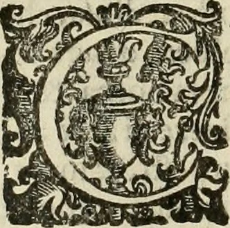 An illustration from Pratica manvale di arteglieria : nella quale si tratta della inuentione di essa, dell'ordine di condurla, & piantarla sotto à qualunque fortezza, fabricar mine da far volar in alto le fortezze, spianar le montagne, diuertir l'acque offensiue i regni & prouincie, tirar co i pezzi in molti & diuersi modi, far fuochi artificiali : con altri bellissimi secreti all'essercitio dell'arteglieria appartenenti, 1586, leaf 173