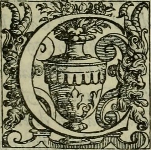 An illustration from Pratica manvale di arteglieria : nella quale si tratta della inuentione di essa, dell'ordine di condurla, & piantarla sotto à qualunque fortezza, fabricar mine da far volar in alto le fortezze, spianar le montagne, diuertir l'acque offensiue i regni & prouincie, tirar co i pezzi in molti & diuersi modi, far fuochi artificiali : con altri bellissimi secreti all'essercitio dell'arteglieria appartenenti, 1586, leaf 4