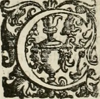 An illustration from Pratica manvale di arteglieria : nella quale si tratta della inuentione di essa, dell'ordine di condurla, & piantarla sotto à qualunque fortezza, fabricar mine da far volar in alto le fortezze, spianar le montagne, diuertir l'acque offensiue i regni & prouincie, tirar co i pezzi in molti & diuersi modi, far fuochi artificiali : con altri bellissimi secreti all'essercitio dell'arteglieria appartenenti, 1586, leaf 49