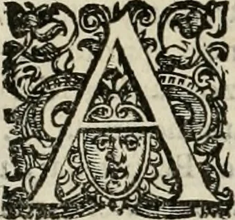 An illustration from Pratica manvale di arteglieria : nella quale si tratta della inuentione di essa, dell'ordine di condurla, & piantarla sotto à qualunque fortezza, fabricar mine da far volar in alto le fortezze, spianar le montagne, diuertir l'acque offensiue i regni & prouincie, tirar co i pezzi in molti & diuersi modi, far fuochi artificiali : con altri bellissimi secreti all'essercitio dell'arteglieria appartenenti, 1586, leaf 69