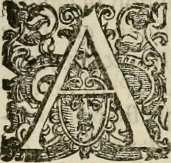 An illustration from Pratica manvale di arteglieria : nella quale si tratta della inuentione di essa, dell'ordine di condurla, & piantarla sotto à qualunque fortezza, fabricar mine da far volar in alto le fortezze, spianar le montagne, diuertir l'acque offensiue i regni & prouincie, tirar co i pezzi in molti & diuersi modi, far fuochi artificiali : con altri bellissimi secreti all'essercitio dell'arteglieria appartenenti, 1586, leaf 71