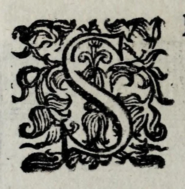 An illustration from Pratica uniuersale, facilissima et breue di misurare con la uista, parte prima[-II] ..., 1630, leaf 128