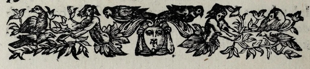 An illustration from Pratica uniuersale, facilissima et breue di misurare con la uista, parte prima[-II] ..., 1630, leaf 146