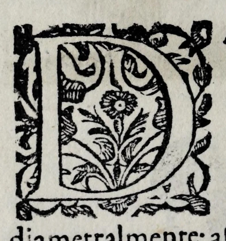 An illustration from Pratica uniuersale, facilissima et breue di misurare con la uista, parte prima[-II] ..., 1630, leaf 146