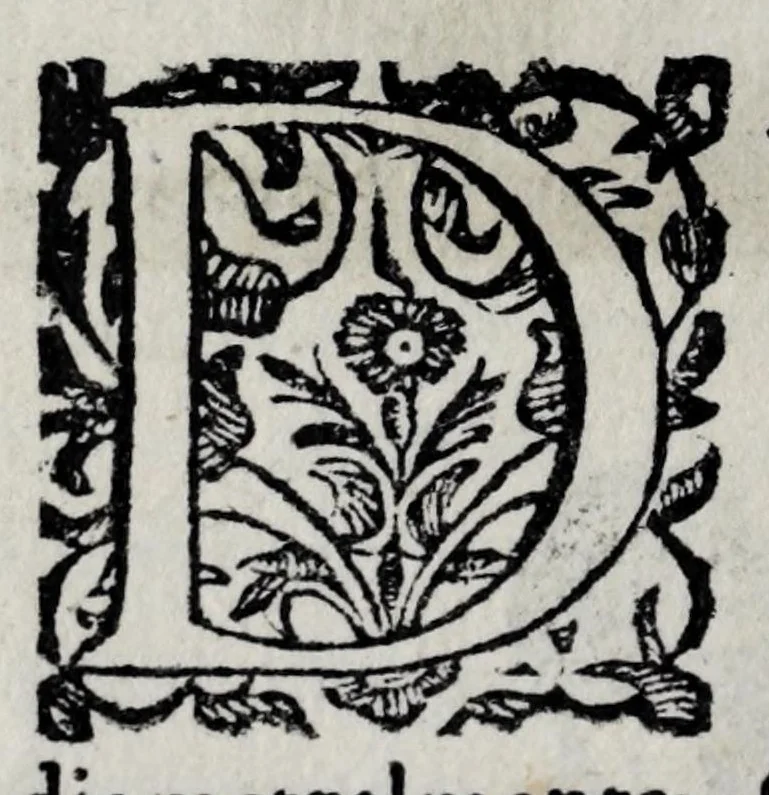 An illustration from Pratica uniuersale, facilissima et breue di misurare con la uista, parte prima[-II] ..., 1630, leaf 148