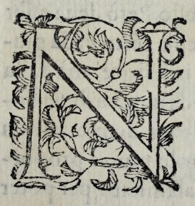 An illustration from Pratica uniuersale, facilissima et breue di misurare con la uista, parte prima[-II] ..., 1630, leaf 195
