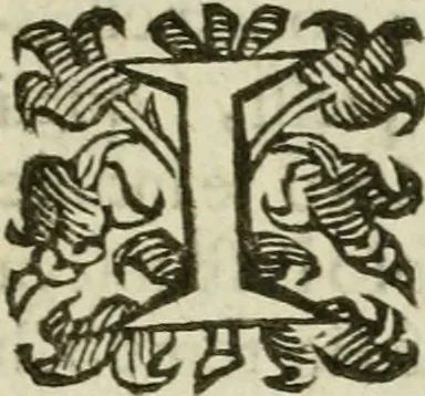 An illustration from Prattica del parallelogrammo da disegnare, 1653, leaf 6