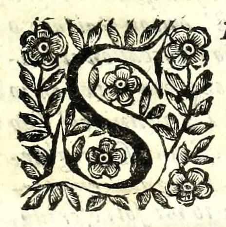 An illustration from Prattica gnomonica, o vero, Tauole, con le quali ciascuno ageuolmente può far da sè gli horologi da sole orizontali, verticali, e riflessi di qualsiuoglia grandezza : calcolate à grado per grado di declinatione murale per sei altezze di polo, cioè da gradi 40 sino à 45, 1669, leaf 5