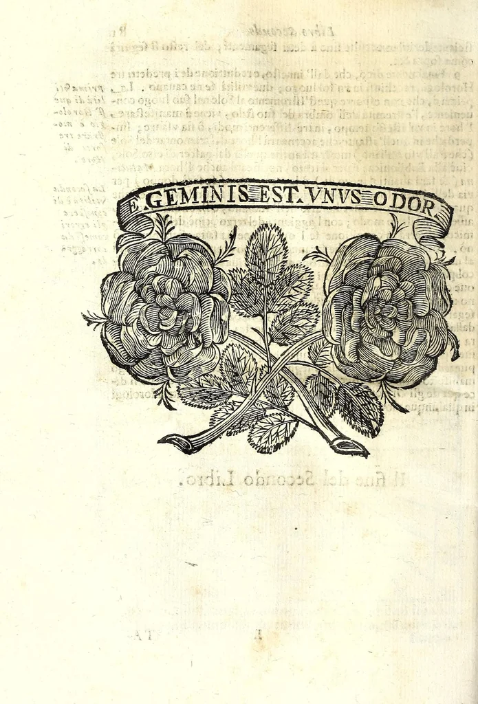 An illustration from Prattica gnomonica, o vero, Tauole, con le quali ciascuno ageuolmente può far da sè gli horologi da sole orizontali, verticali, e riflessi di qualsiuoglia grandezza : calcolate à grado per grado di declinatione murale per sei altezze di polo, cioè da gradi 40 sino à 45, 1669, leaf 92