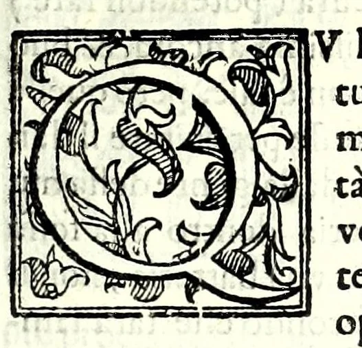 An illustration from Prattica manuale dell'artiglieria : doue si tratta dell'eccellenza, & origine dell'arte militare, e delle machine vsate da gli antichi : dell'inuentione della poluere, & artiglieria : del modo di condurla per acqua, e per terra, e piantarla in qual si voglia impresa : di fabricar le mine per mandar' in aria fortezze, e montagne : di fuochi artificiali : e di varij secreti, & importantissimi auuertimenti all'vso della guerra vtilissimi, e necessarij : e nel fine d'vn molto copioso, & importante essamine de'bombardieri ..., 1606, leaf 215