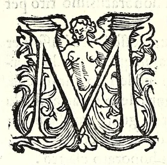 An illustration from Prattica manuale dell'artiglieria : doue si tratta dell'eccellenza, & origine dell'arte militare, e delle machine vsate da gli antichi : dell'inuentione della poluere, & artiglieria : del modo di condurla per acqua, e per terra, e piantarla in qual si voglia impresa : di fabricar le mine per mandar' in aria fortezze, e montagne : di fuochi artificiali : e di varij secreti, & importantissimi auuertimenti all'vso della guerra vtilissimi, e necessarij : e nel fine d'vn molto copioso, & importante essamine de'bombardieri ..., 1606, leaf 222