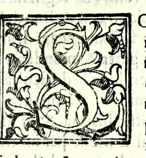 An illustration from Prattica manuale dell'artiglieria : doue si tratta dell'eccellenza, & origine dell'arte militare, e delle machine vsate da gli antichi : dell'inuentione della poluere, & artiglieria : del modo di condurla per acqua, e per terra, e piantarla in qual si voglia impresa : di fabricar le mine per mandar' in aria fortezze, e montagne : di fuochi artificiali : e di varij secreti, & importantissimi auuertimenti all'vso della guerra vtilissimi, e necessarij : e nel fine d'vn molto copioso, & importante essamine de'bombardieri ..., 1606, leaf 293