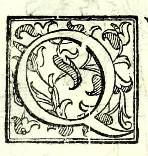 An illustration from Prattica manuale dell'artiglieria : doue si tratta dell'eccellenza, & origine dell'arte militare, e delle machine vsate da gli antichi : dell'inuentione della poluere, & artiglieria : del modo di condurla per acqua, e per terra, e piantarla in qual si voglia impresa : di fabricar le mine per mandar' in aria fortezze, e montagne : di fuochi artificiali : e di varij secreti, & importantissimi auuertimenti all'vso della guerra vtilissimi, e necessarij : e nel fine d'vn molto copioso, & importante essamine de'bombardieri ..., 1606, leaf 311