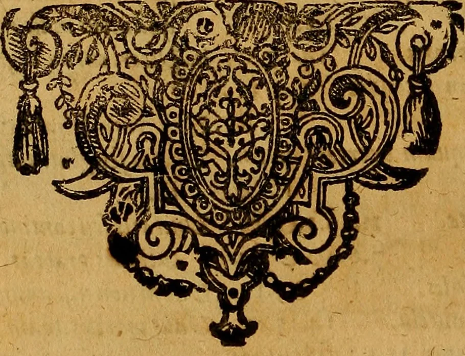 An illustration from Praxis medica curiosa : hoc est, Galeni Methodi medendi libri XIV, 1680, leaf 405