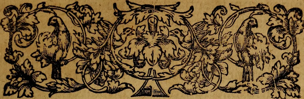 An illustration from Praxis medica curiosa : hoc est, Galeni Methodi medendi libri XIV, 1680, leaf 408