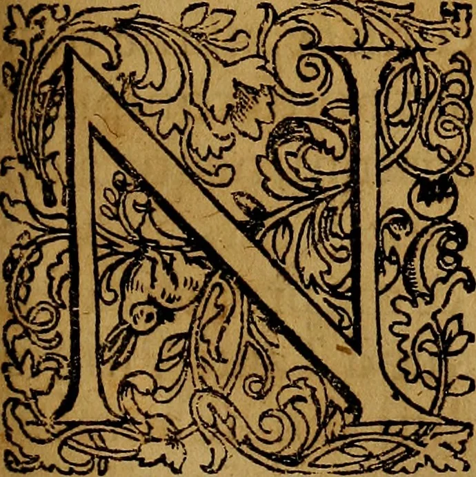 An illustration from Praxis medica curiosa : hoc est, Galeni Methodi medendi libri XIV, 1680, leaf 408