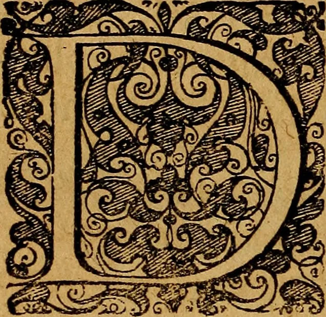 An illustration from Praxis medica curiosa : hoc est, Galeni Methodi medendi libri XIV, 1680, leaf 411