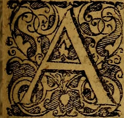 An illustration from Praxis medica curiosa : hoc est, Galeni Methodi medendi libri XIV, 1680, leaf 414