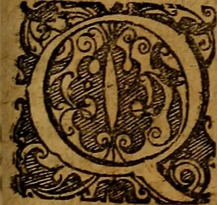 An illustration from Praxis medica curiosa : hoc est, Galeni Methodi medendi libri XIV, 1680, leaf 574