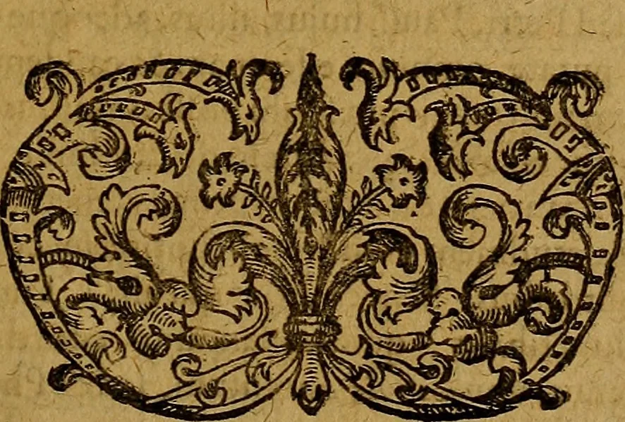 An illustration from Praxis medica curiosa : hoc est, Galeni Methodi medendi libri XIV, 1680, leaf 586