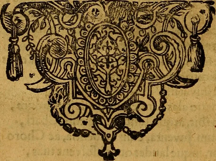 An illustration from Praxis medica curiosa : hoc est, Galeni Methodi medendi libri XIV, 1680, leaf 629