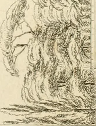 An illustration from Précis des leçons d'architecture données à l'École polytechnique, 1805, leaf 182