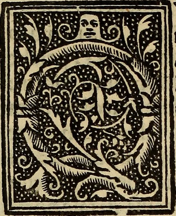 An illustration from Prediche nvovamente venvte in lvce, 1528, leaf 201