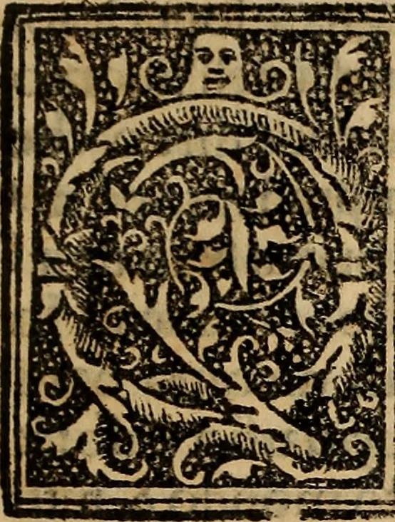 An illustration from Prediche nvovamente venvte in lvce, 1528, leaf 26