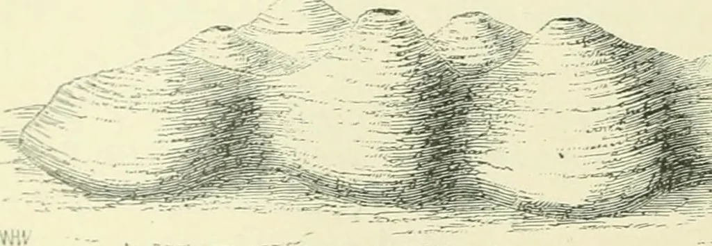 An illustration from Pre-historic times: as illustrated by ancient remains and the manners and customs of modern savages, 1900, leaf 107
