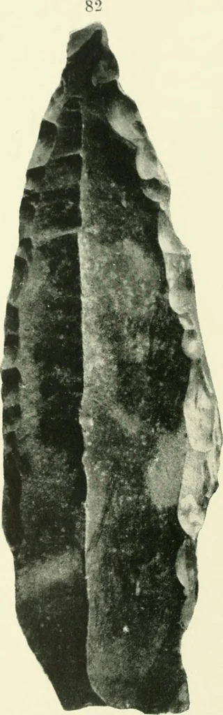 An illustration from Pre-historic times: as illustrated by ancient remains and the manners and customs of modern savages, 1900, leaf 141