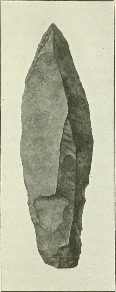 An illustration from Pre-historic times: as illustrated by ancient remains and the manners and customs of modern savages, 1900, leaf 150