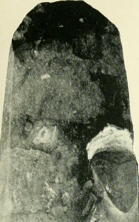 An illustration from Pre-historic times: as illustrated by ancient remains and the manners and customs of modern savages, 1900, leaf 154
