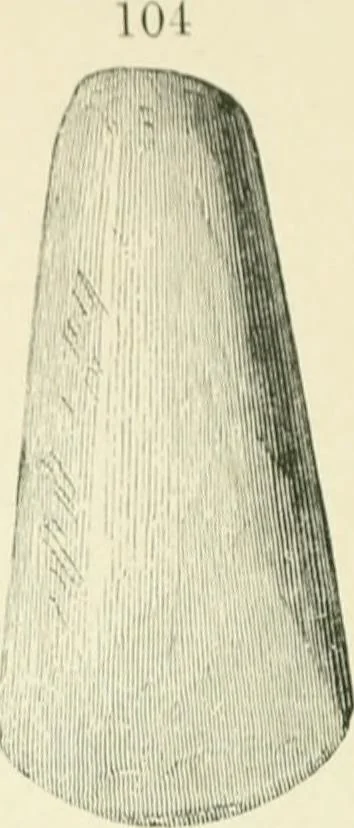 An illustration from Pre-historic times: as illustrated by ancient remains and the manners and customs of modern savages, 1900, leaf 157