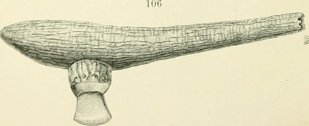 An illustration from Pre-historic times: as illustrated by ancient remains and the manners and customs of modern savages, 1900, leaf 157