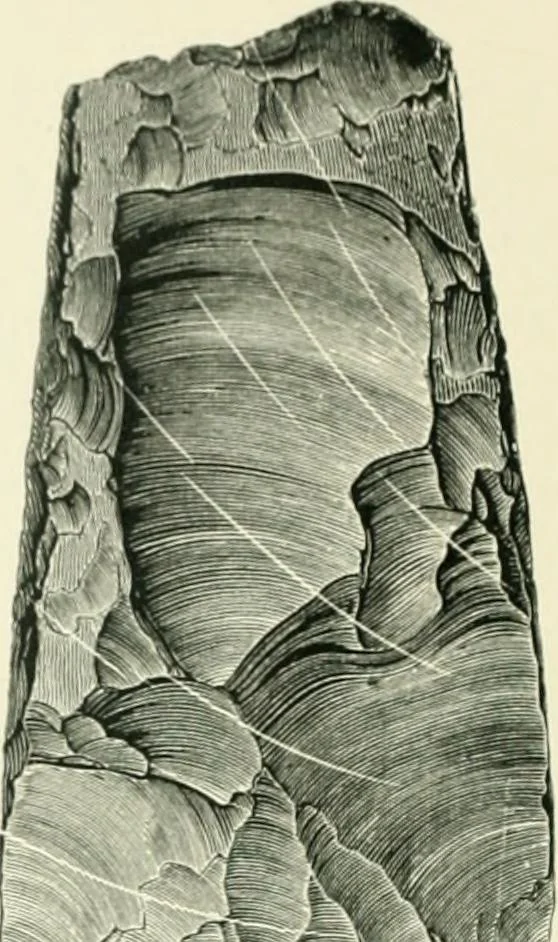 An illustration from Pre-historic times: as illustrated by ancient remains and the manners and customs of modern savages, 1900, leaf 161