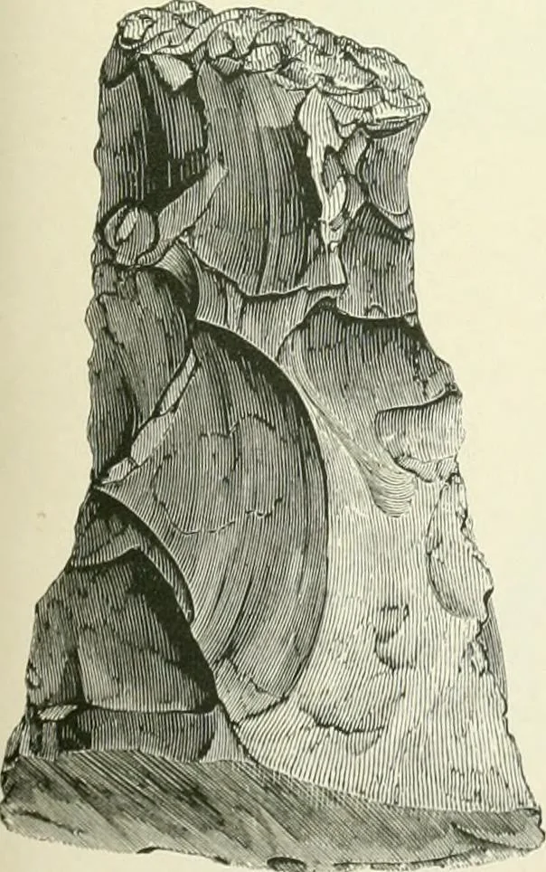 An illustration from Pre-historic times: as illustrated by ancient remains and the manners and customs of modern savages, 1900, leaf 164